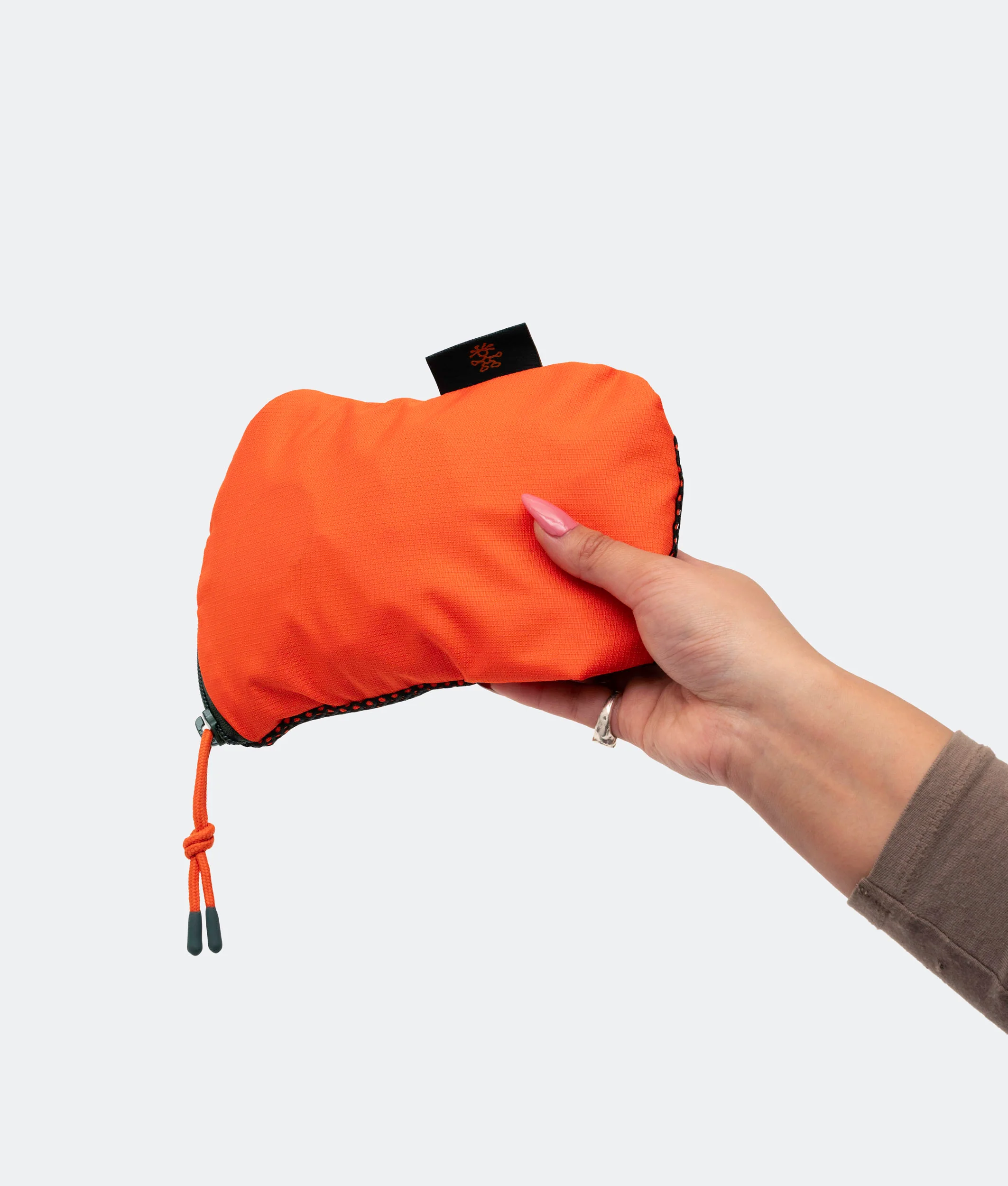 Squid - Image 37