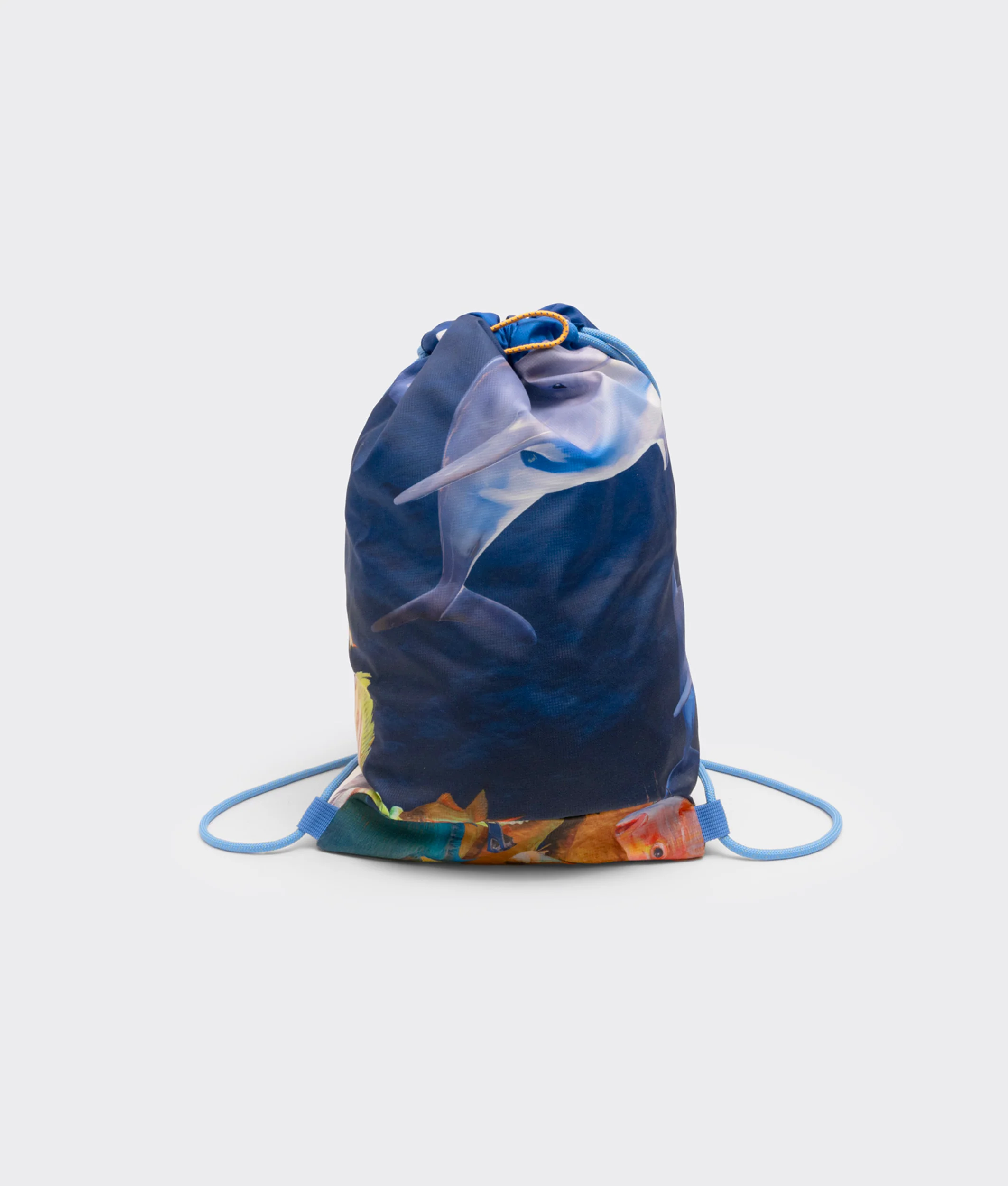 Squid - Image 40